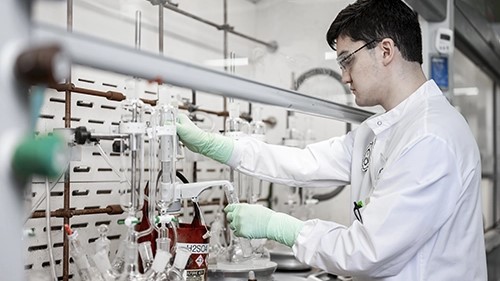 Mold Mitigation in Greystone