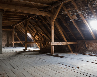 Attic mold